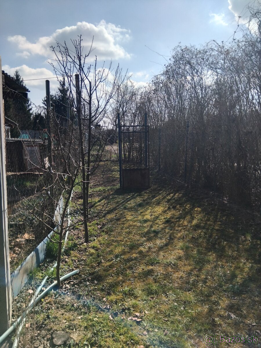 záhrada - 5
