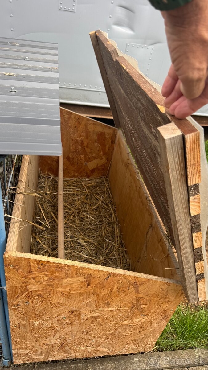 Voliera s japonskými prepelicami - 5