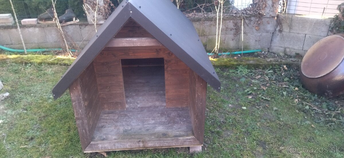 Búda pre psa - 5