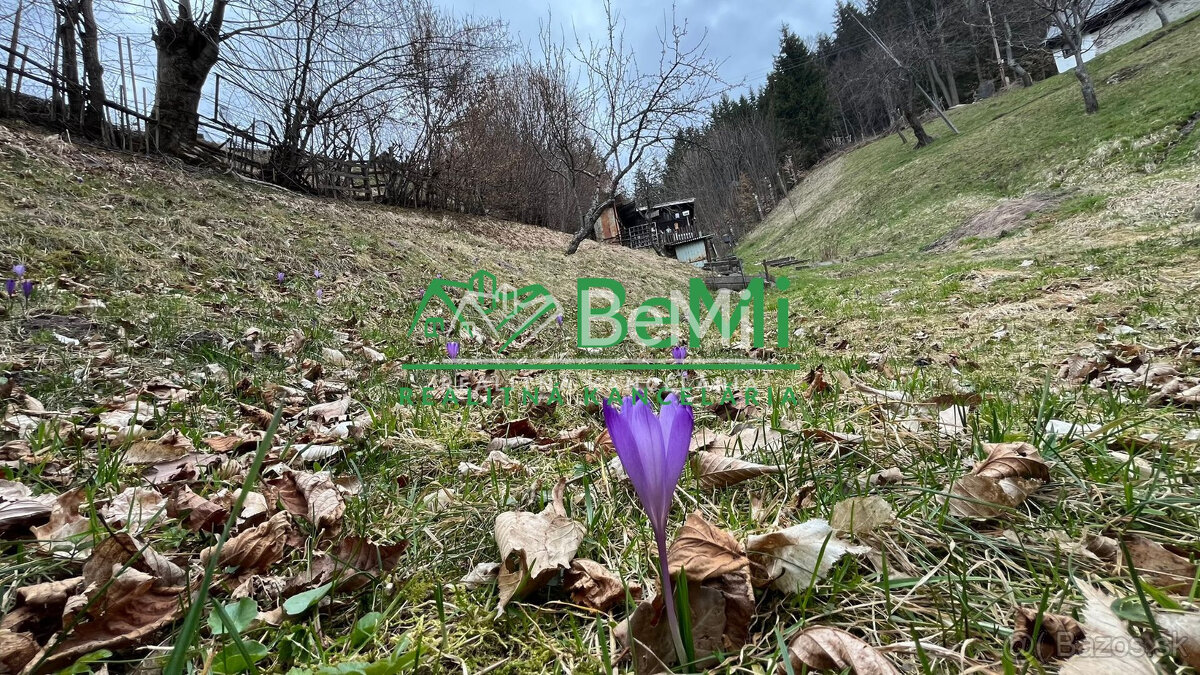 Záhrada s chatkou, 2202 m2, Špania Dolina - 5