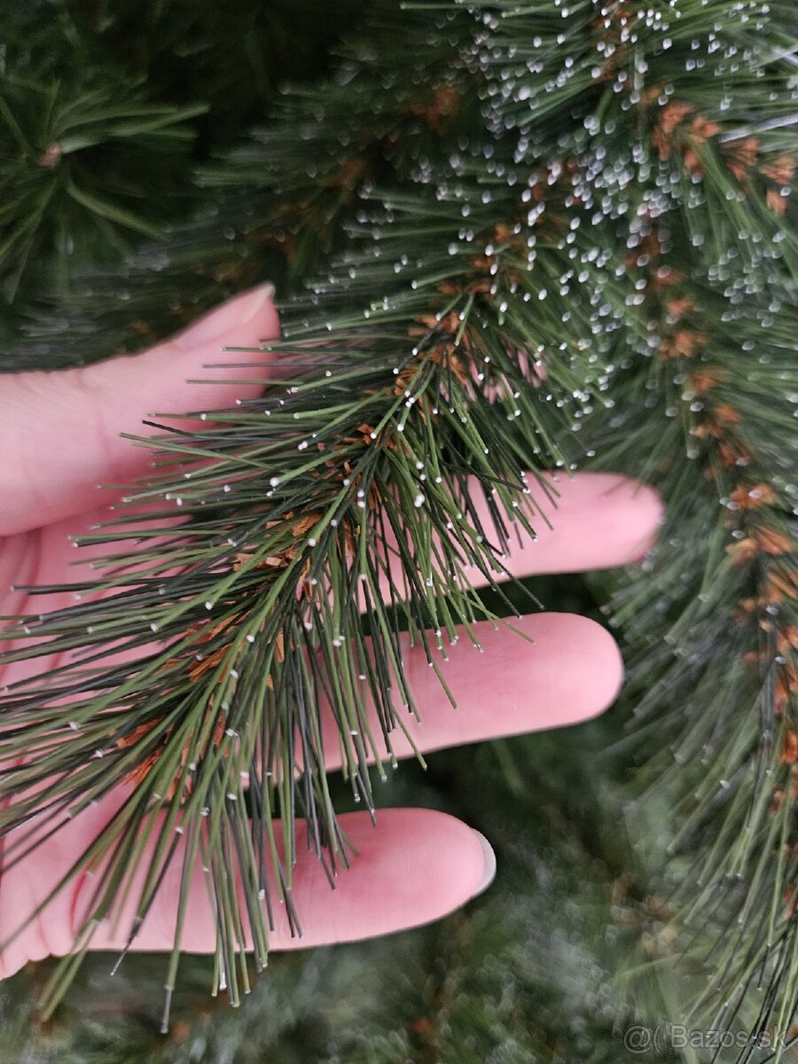 Vianocny stromcek - 5