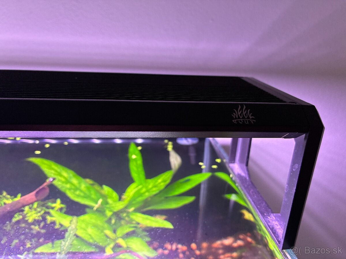 Predám 36L optiwhite akvárium - 5
