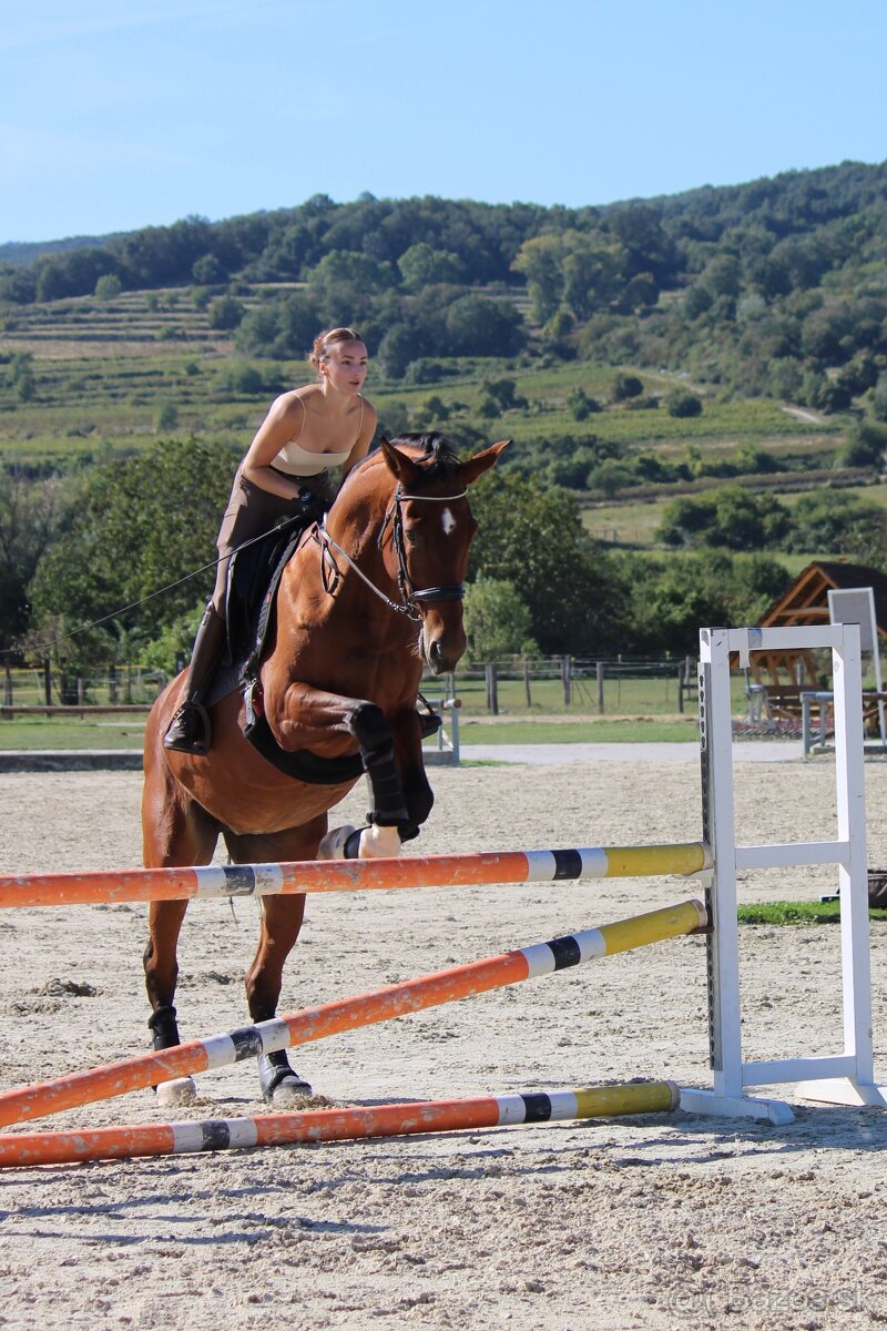 Charakterná kobyla - 5