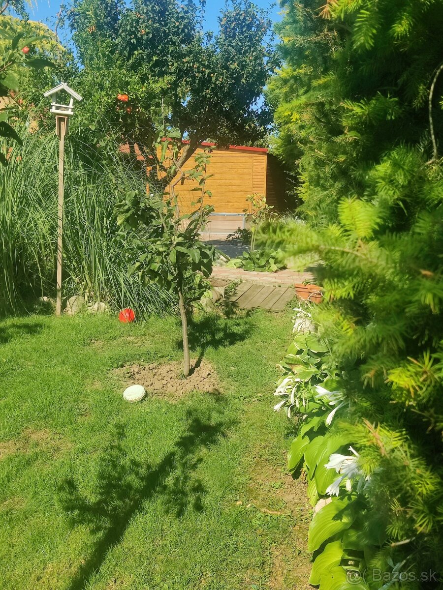 Harmonický domov pre tvorivé duše - 5