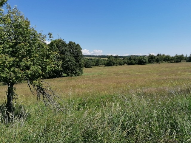 Investiční příležitost u hranic s Německem - 5