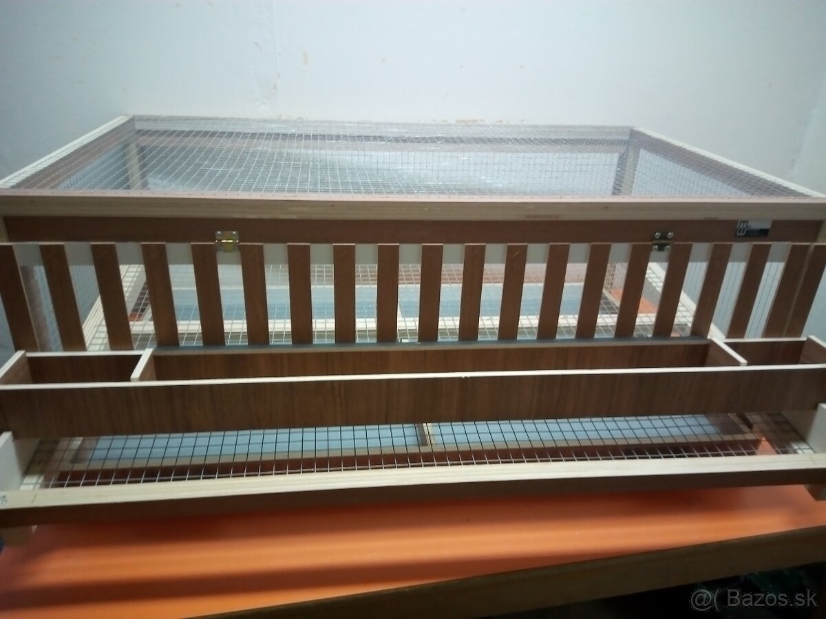 Japonské prepelice - 5