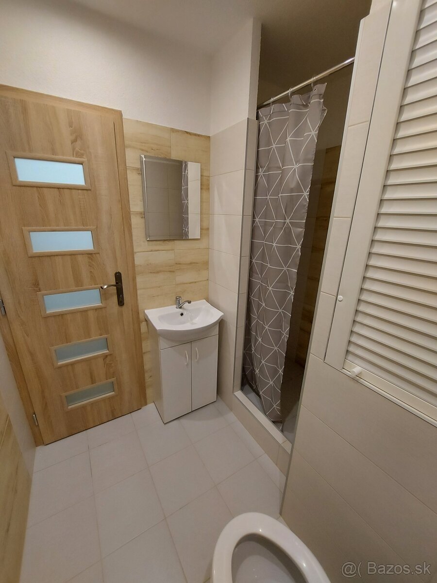 Prenájom 1.izbový byt - 5