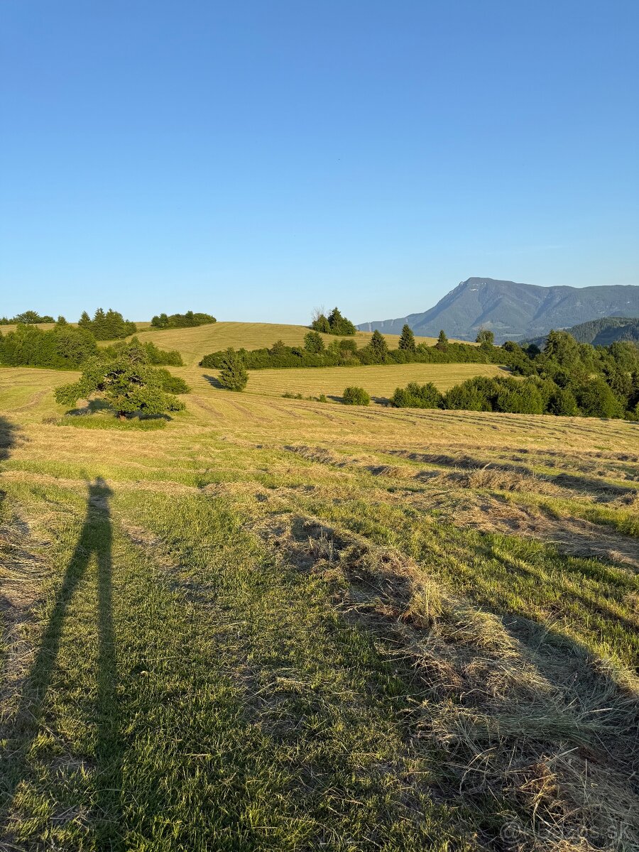 Seno, okrúhle balíky, doprava - 5