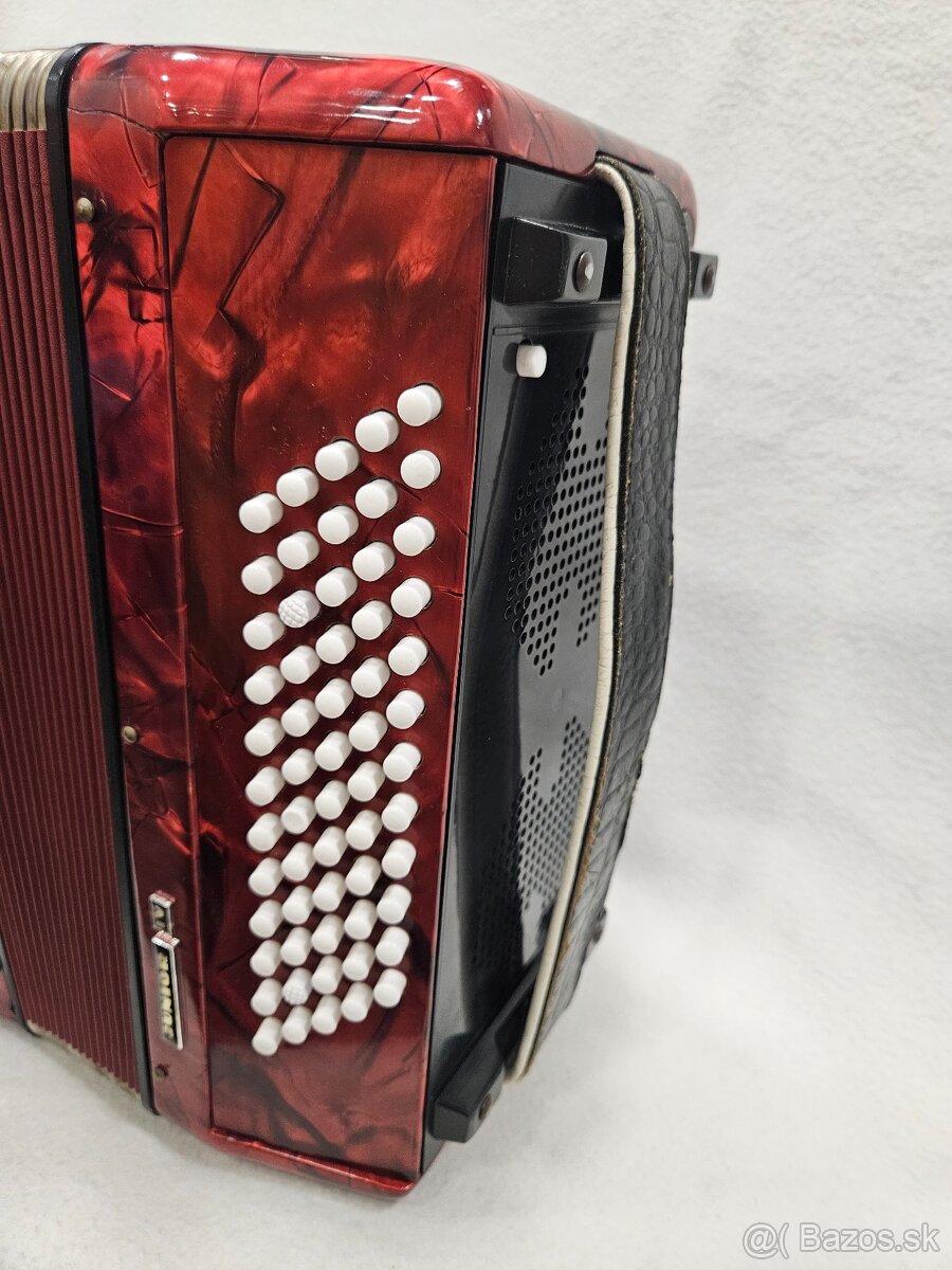 Akordeon delicia junior 60 basovy - 5