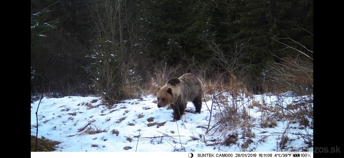 fotopasca mms suntek 300 801 900 940 950 960M/lte/pro/a - 5