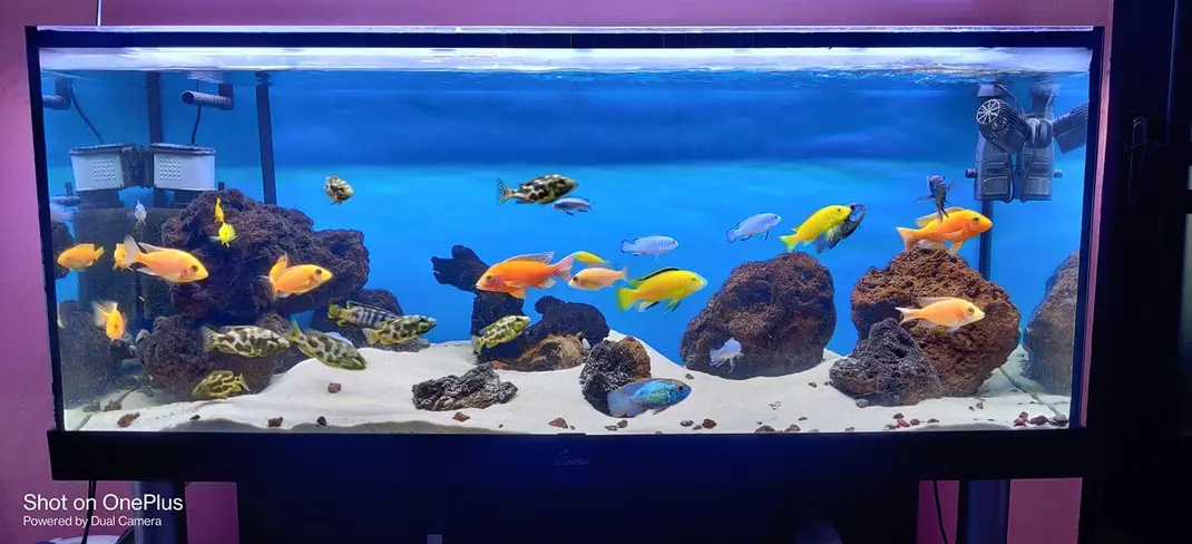 LED svetlo na akvárium do 200cm/75w - 5