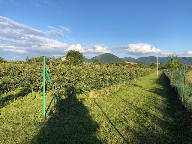 pozemok na predaj - 5