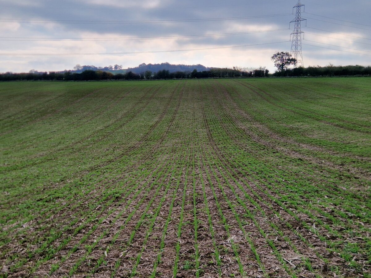 Sejací stroj na priamu sejbu, sejačka, no-till - 5