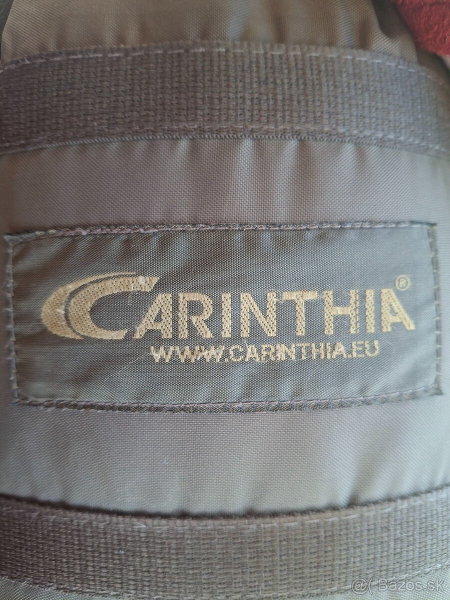 Carinthia - 5
