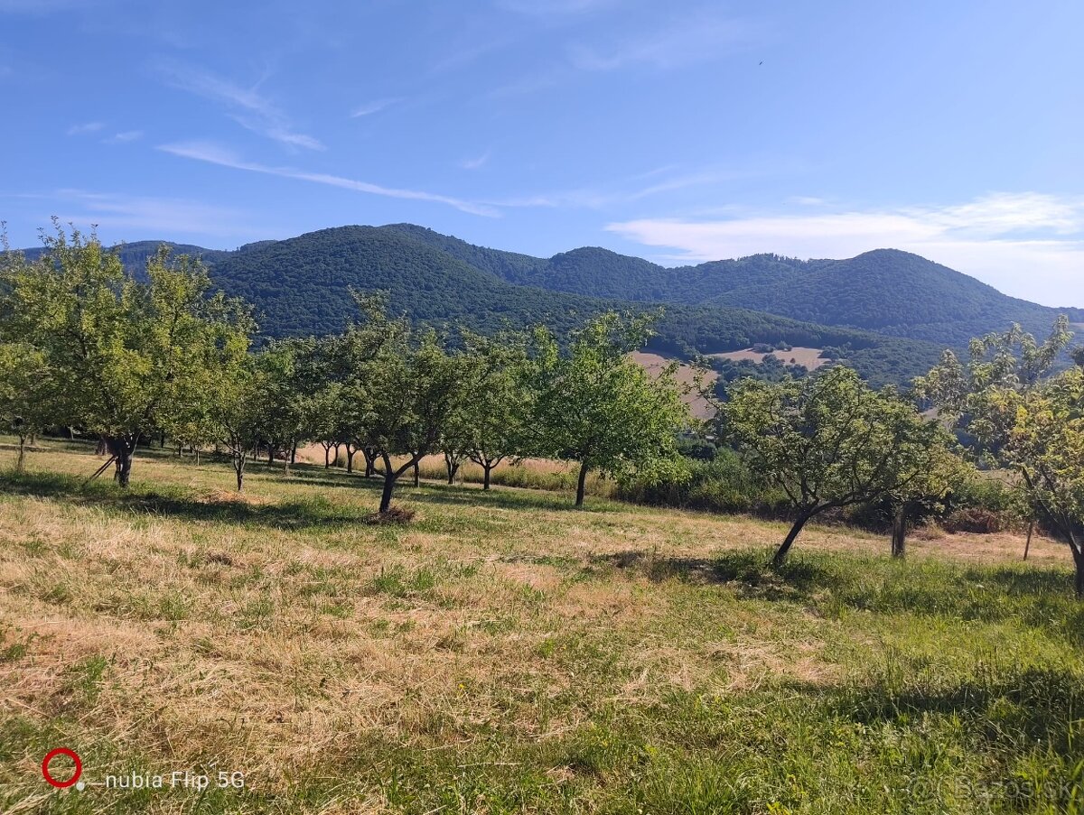 Ovocný sad / Záhrada na predaj - 5
