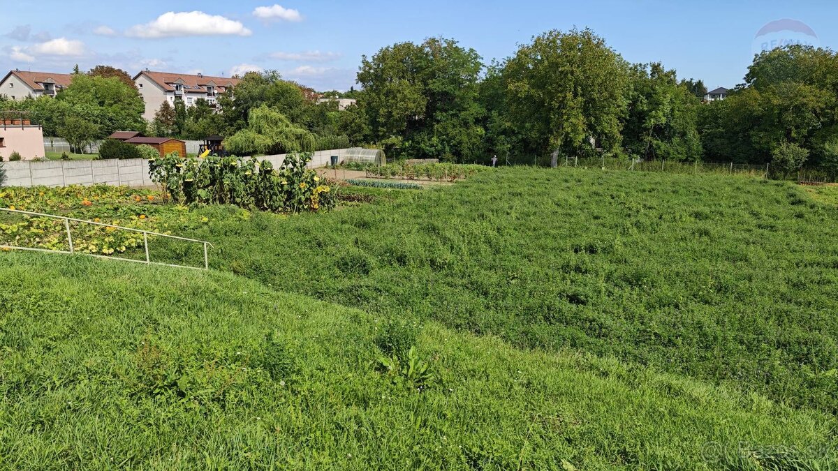 Predaj pozemok Lukáčovce EXKLUZÍVNE - 5