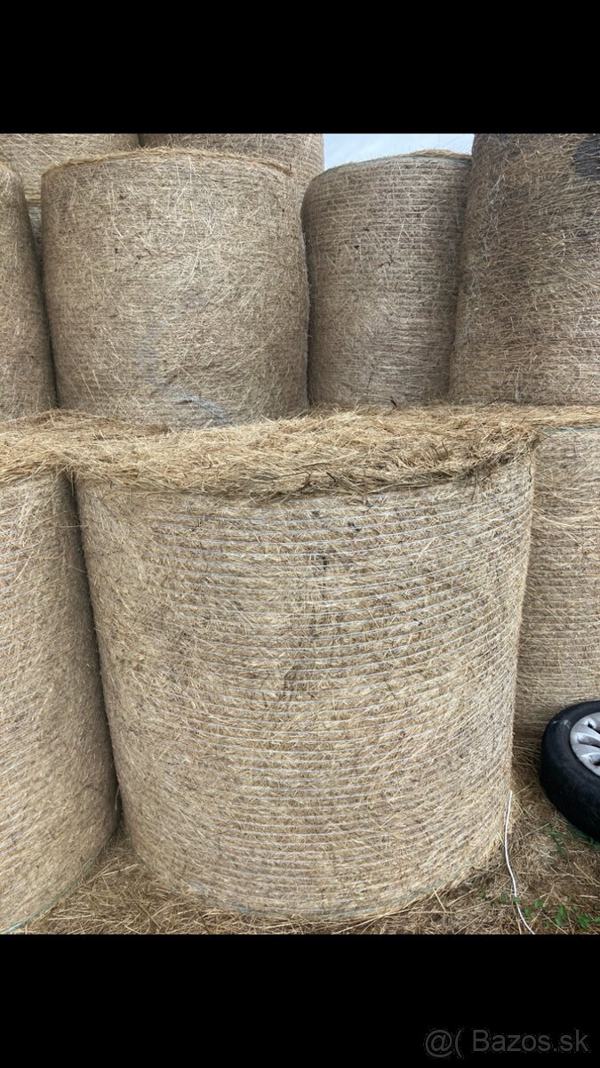Senáž Seno - 5