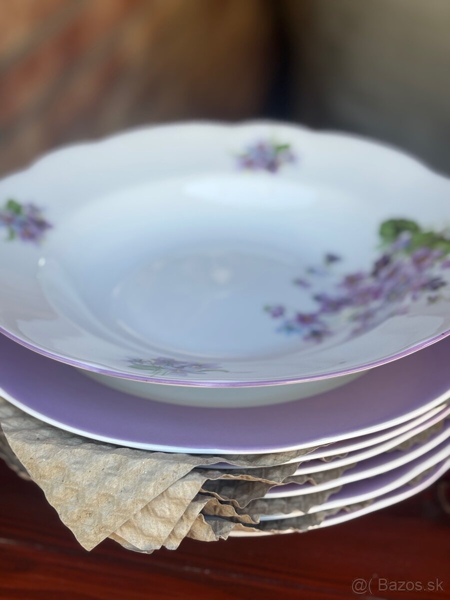 Tanierova sada fialky - 5