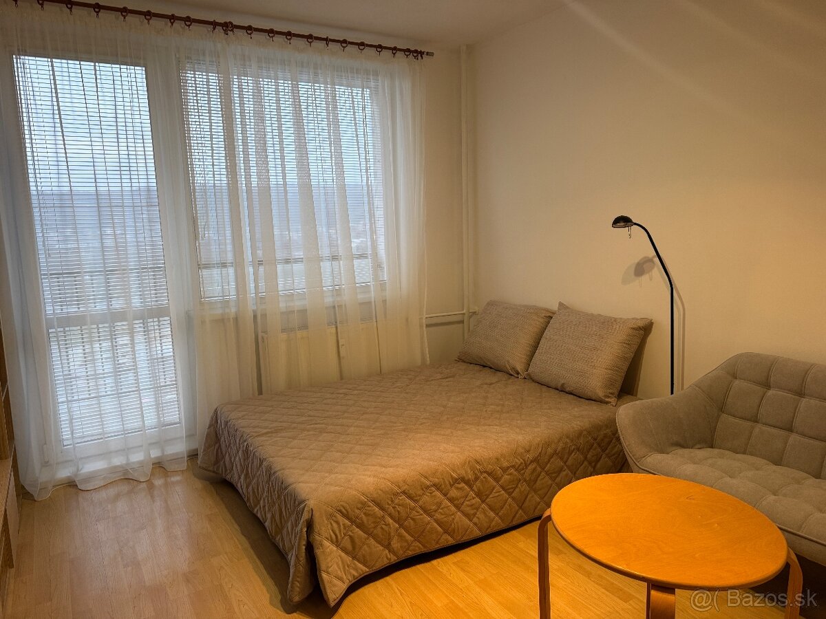 Na prenájom 1 izbový byt pri auparku - Voľný ihned - 5