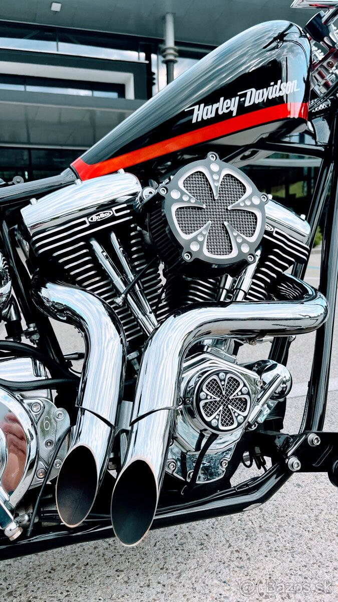 Harley Davidson Custom 300 - 5