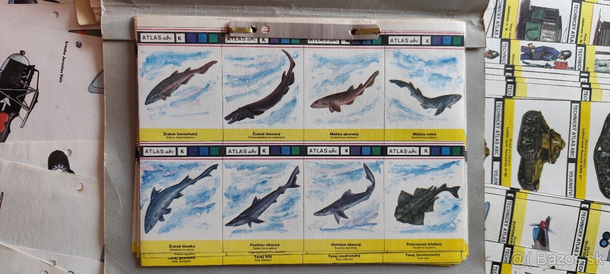 Stredné časti časopisov abc - 5