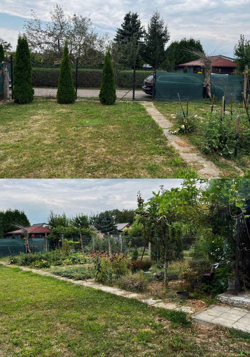 Predám záhradu v záhradkarskej oblasti Oriešky Trebišov - 5