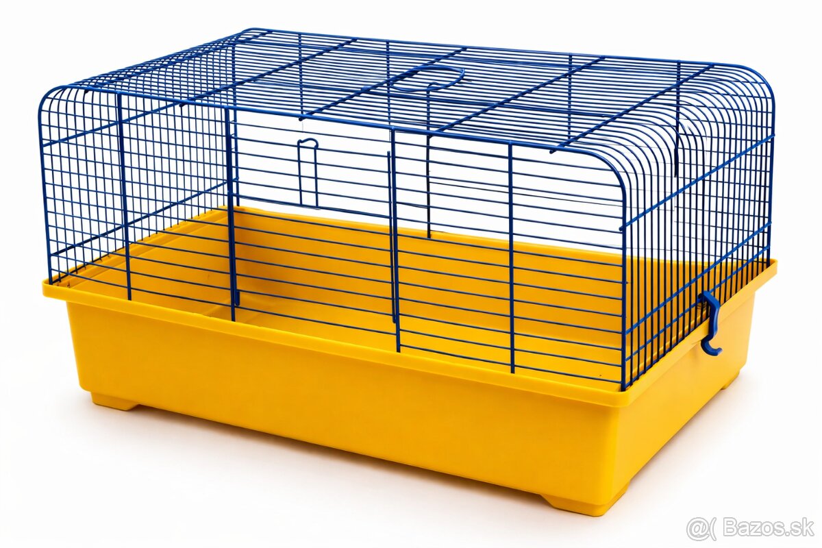 Predám 3ks samčekov zebrička austrálska. - 5