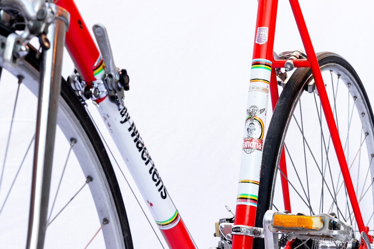 Flandria Freddy Maertens 1975 - 5