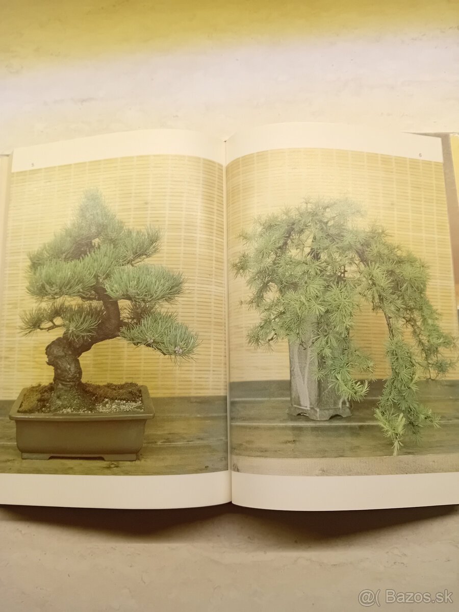 Kniha : BONSAI - 5