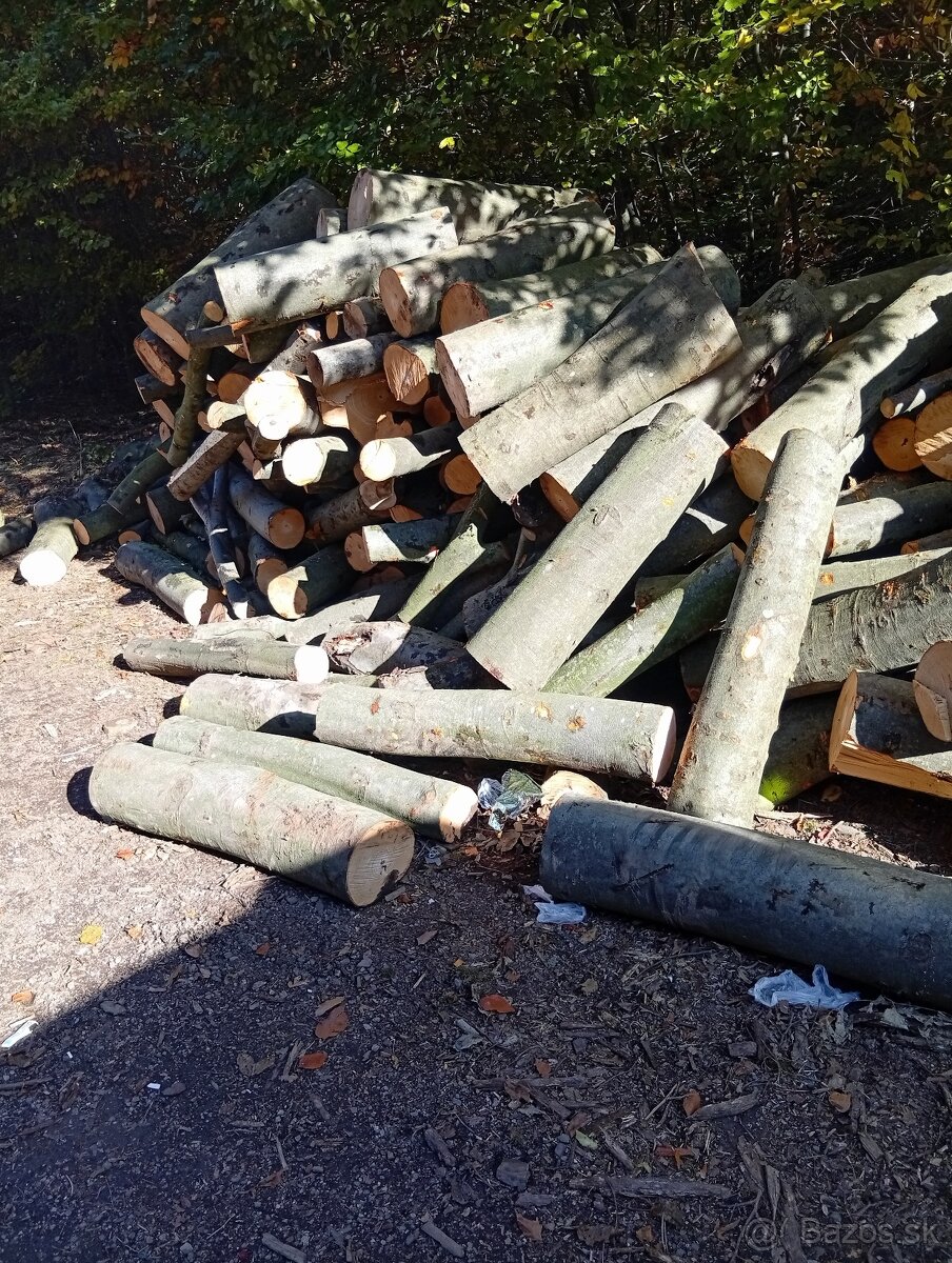 Palivove drevo - 5