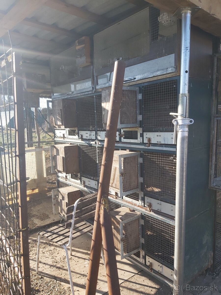 Predám klietky boxy - 5