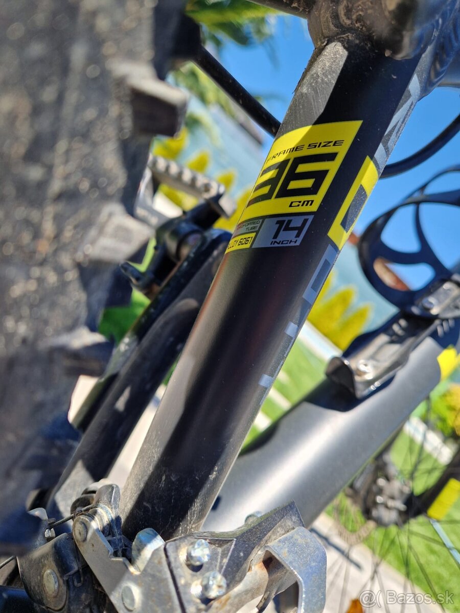 Detsky bicykel HEAD ram 36 - 5