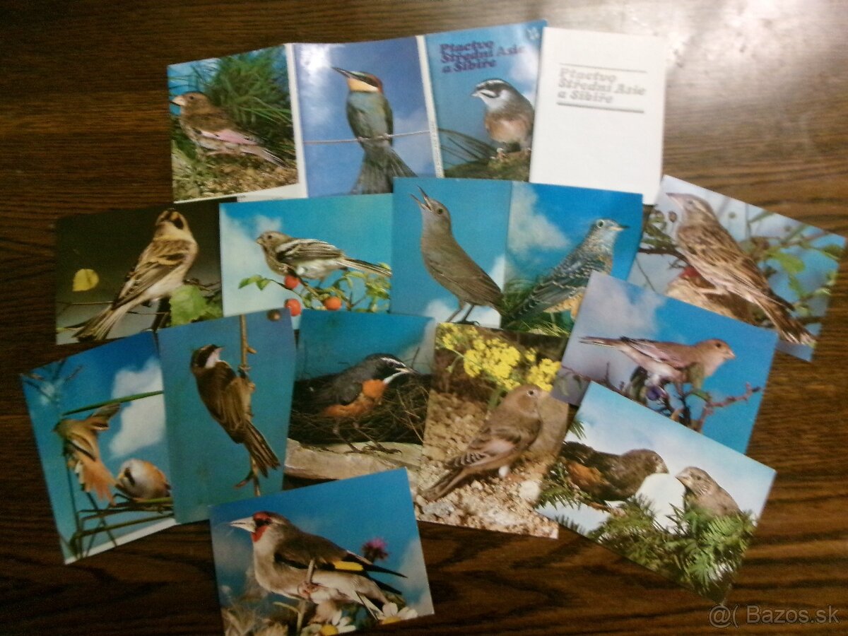 Sady pohľadníc vtáctva: kanáriky, papagáje... - 5