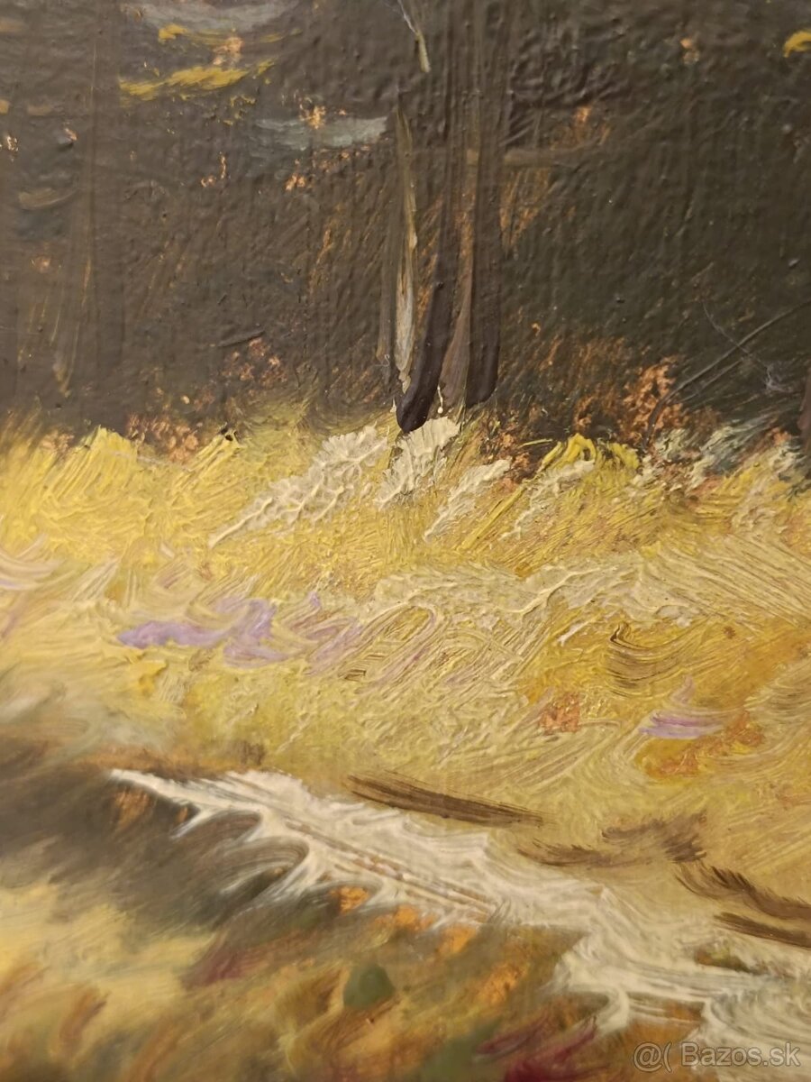 Obraz Vítězslav Fleissig, Vysoké Tatry, olej 31x42 - 5