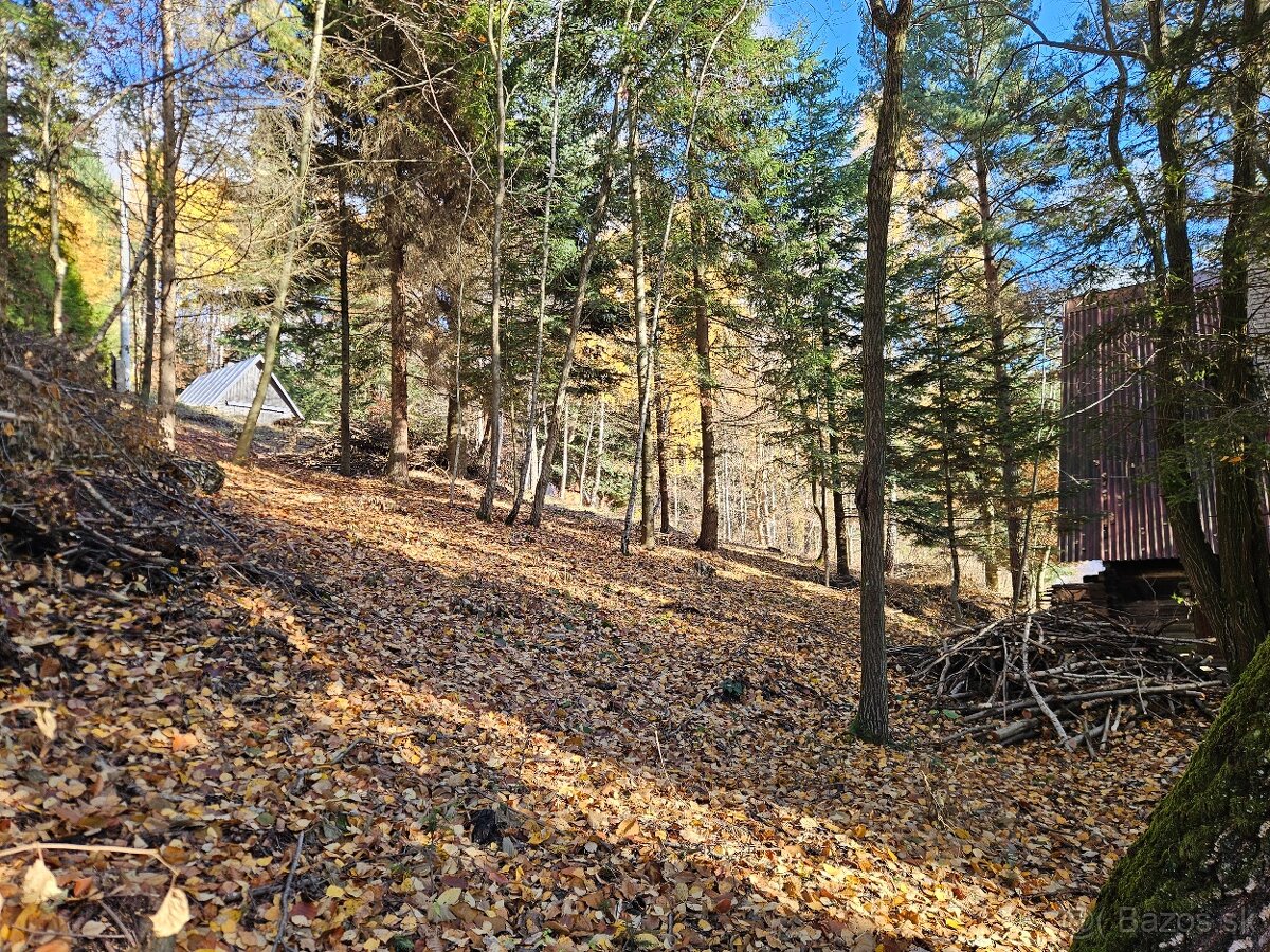 Predam chatu s pozemkom 1978m2 Drienica - 5