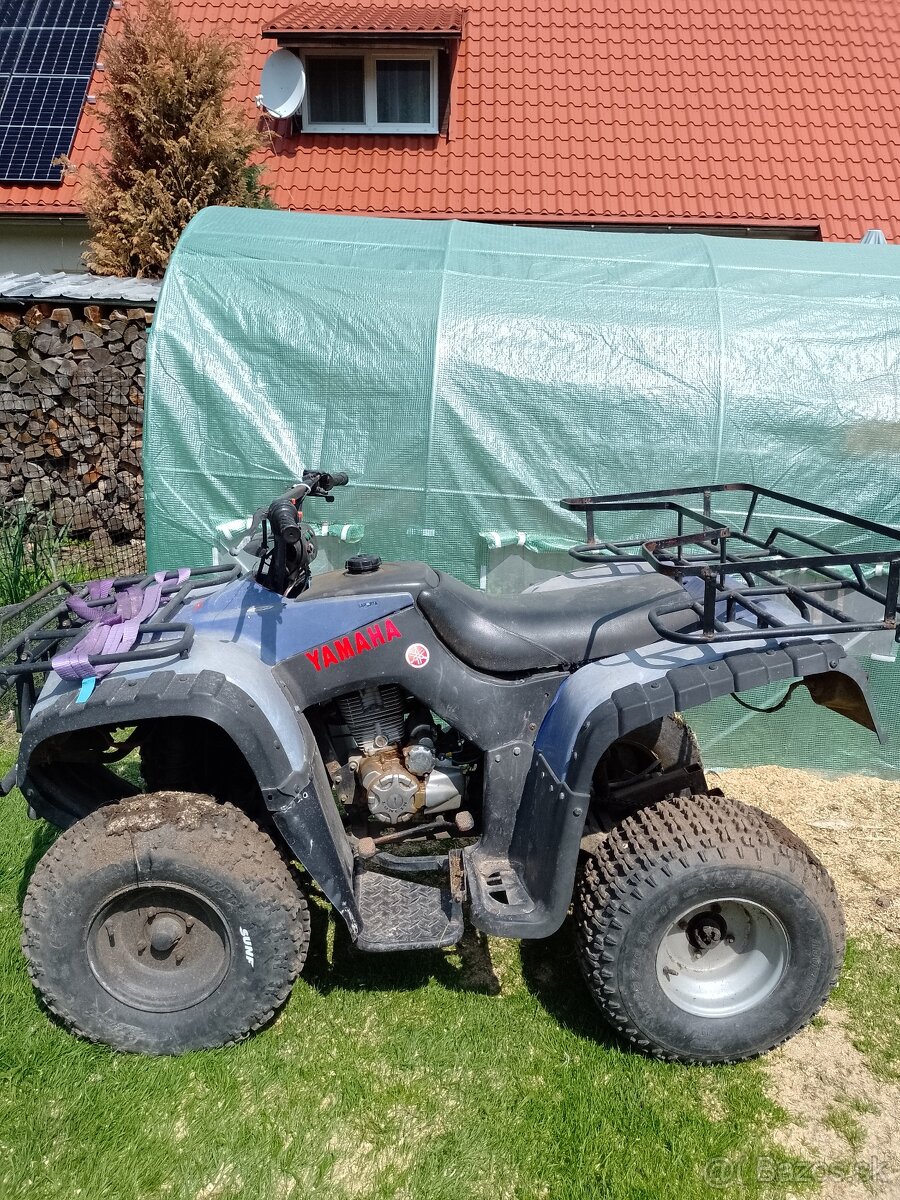 ATV 250