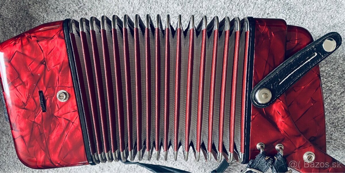 Akordeon/harmonika Delicia Junior 72-bas - 5