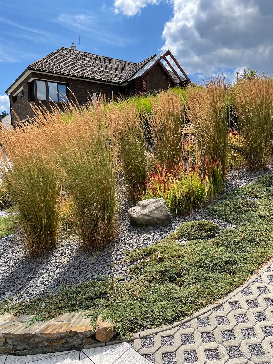 ✨ GREENMAMBA GARDEN – záhrady, do ktorých sa budete chcieť v - 5