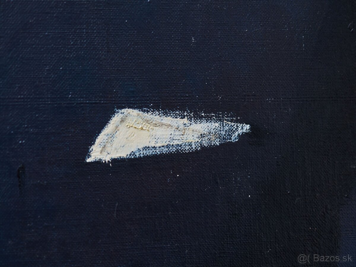 Portrét muža Jan van Loo 114 x 95 cm - 5