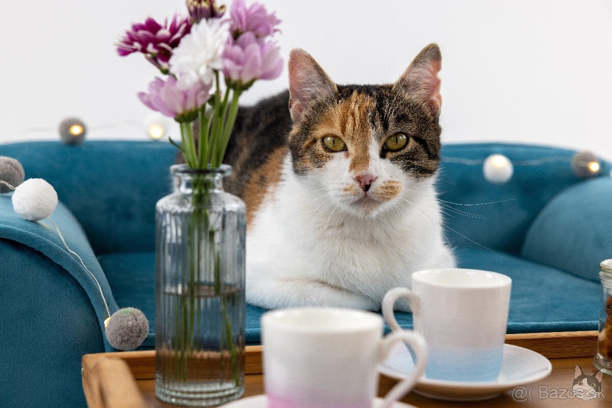 ZUZKA hľadá domov - 5