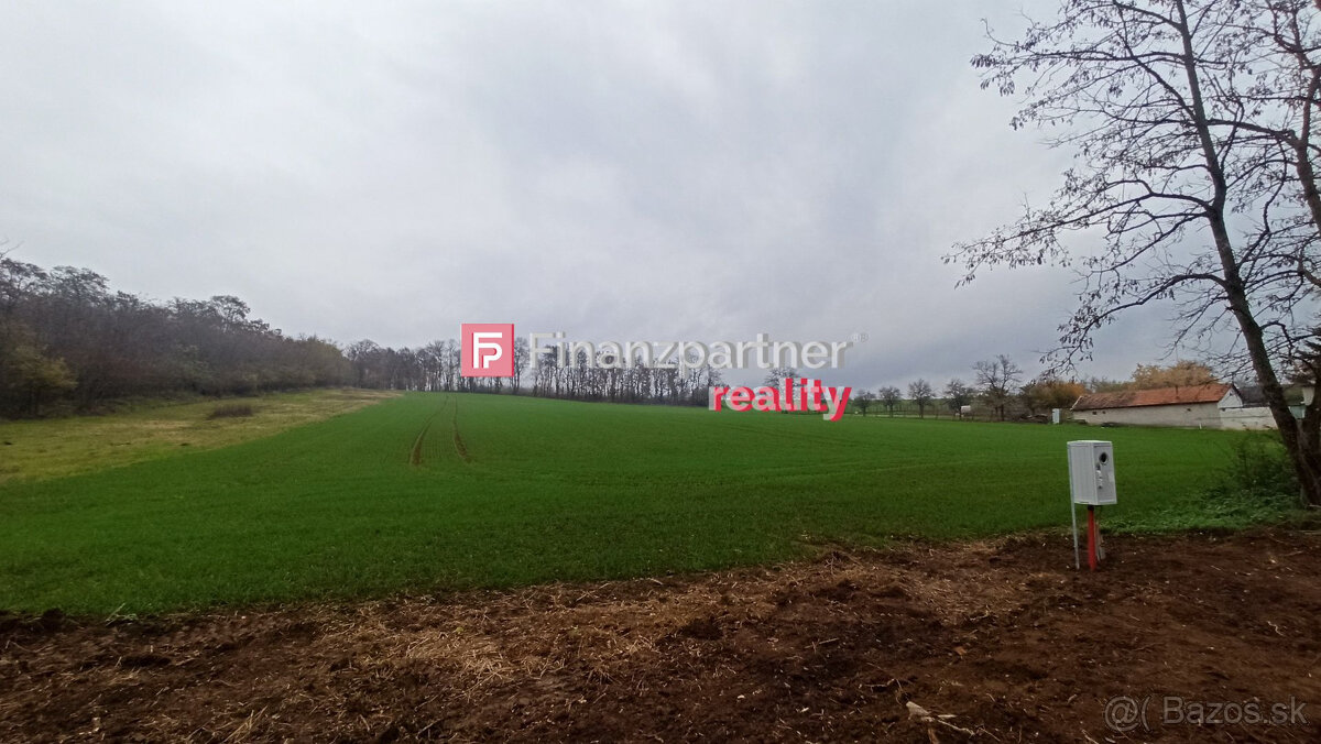 Investičný pozemok, Tajná - Vráble, 3500m2, 19,50 €/m2 - 5