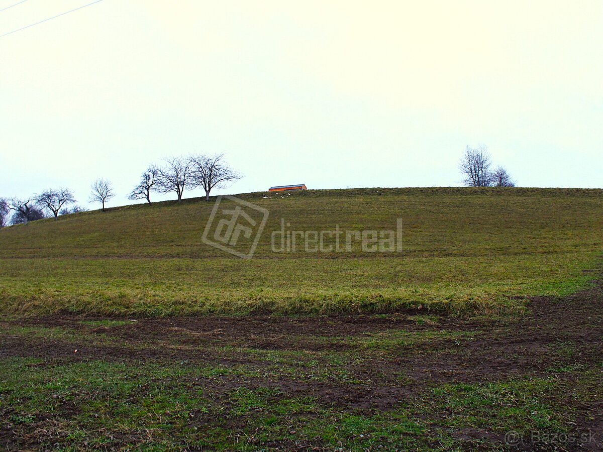 Predaj - orná pôda - Predaj pozemkov v Detve… - 5