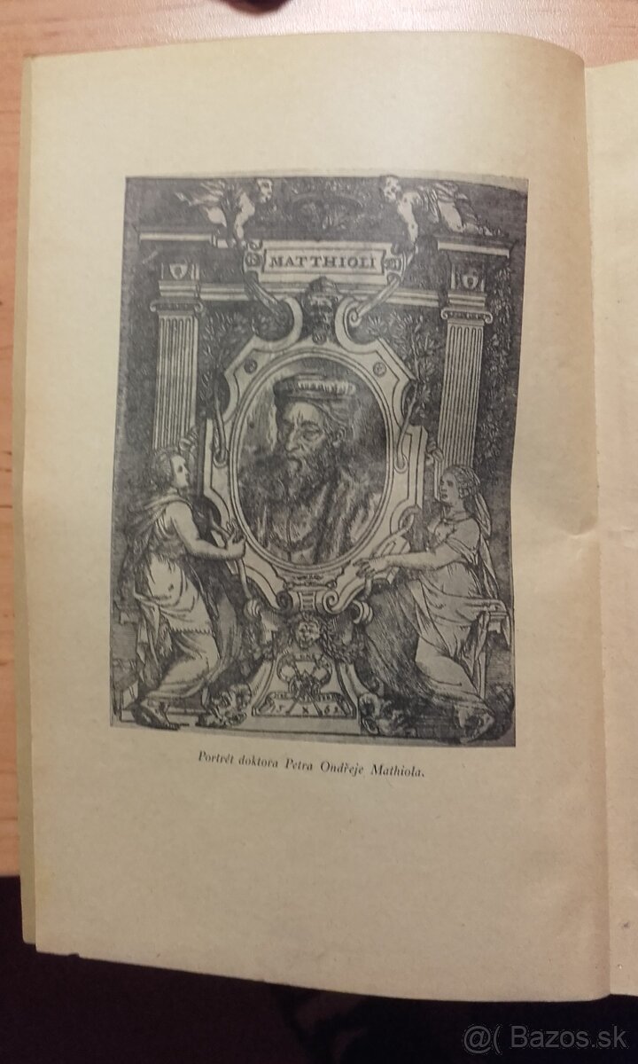 Herbář, aneb, Bylinář Matthioli / Mattioli - 5