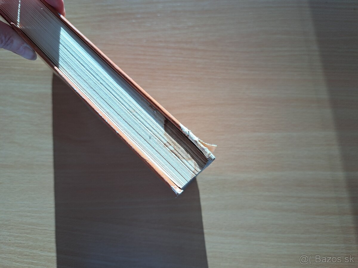 Amor diktoval, lásku spisoval - 5