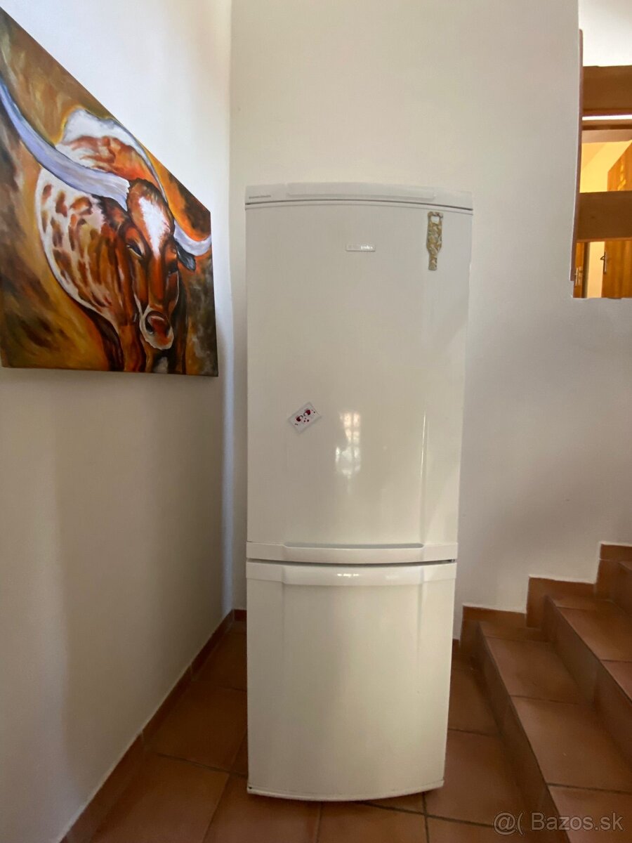 Chladnicka Electrolux - 5