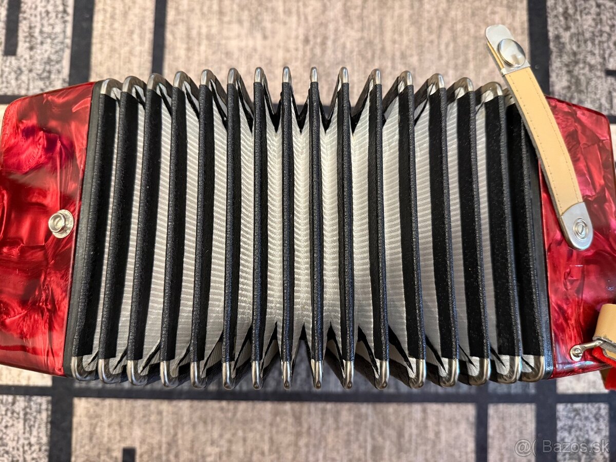 Hohnica Delicia popular Heligonka - 5