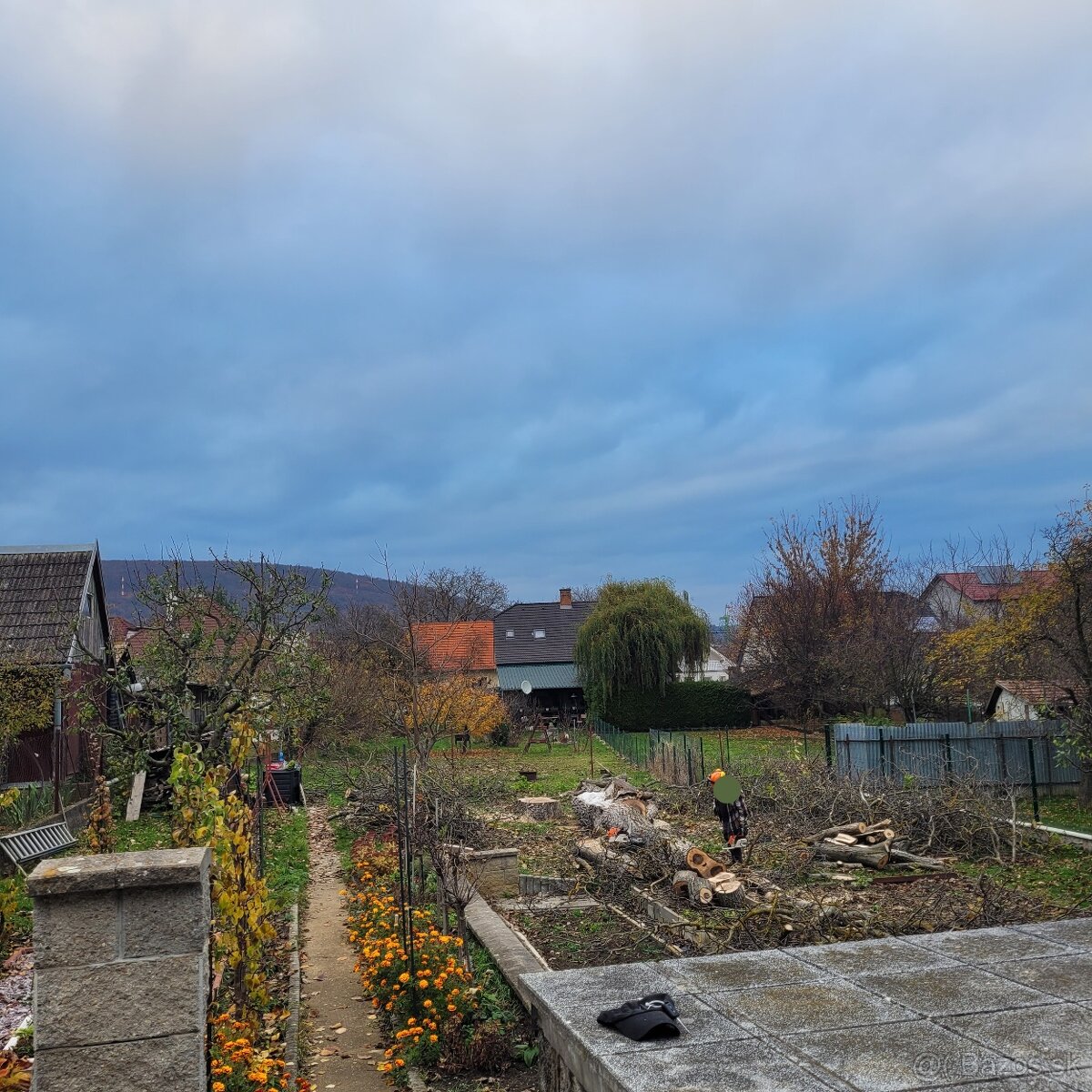 Rizikové rezanie stromov - 5