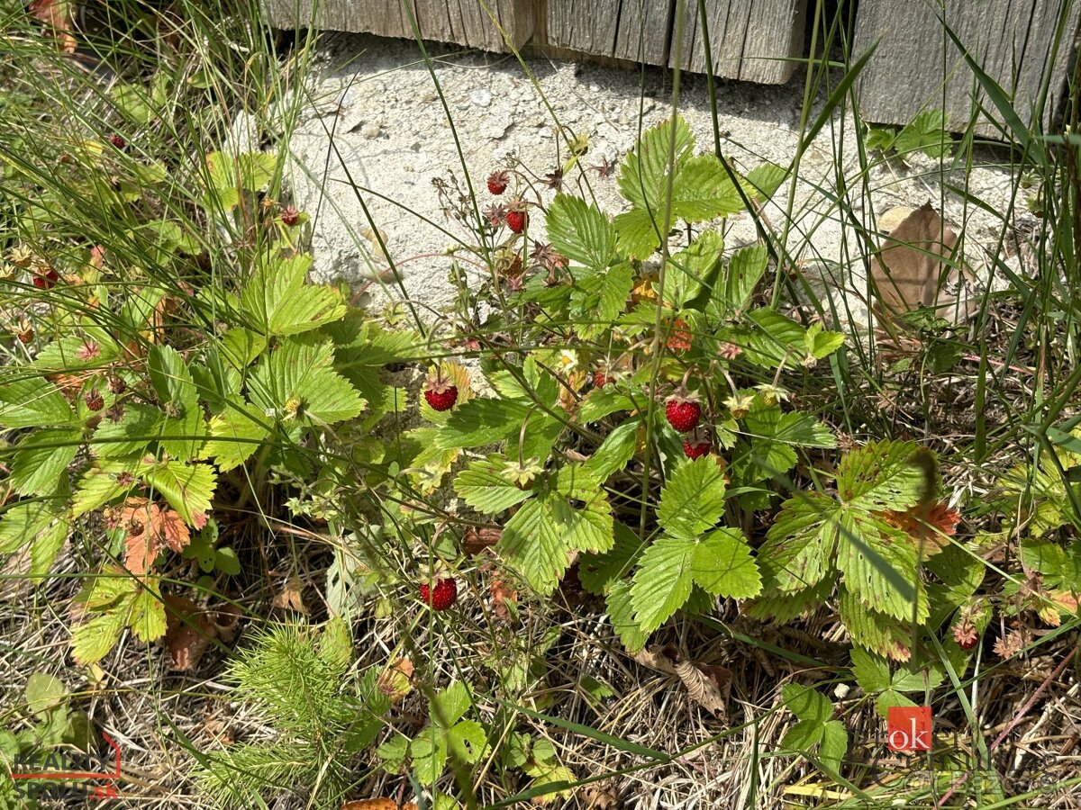 NOVÁ CENA Murovaná rekreačná chata na predaj, Látky - Praši - 5