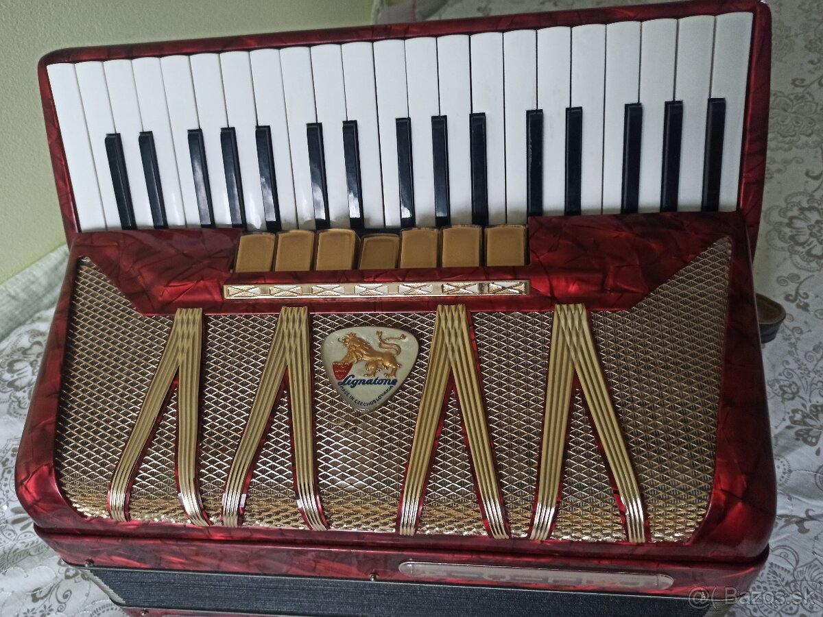 Harmonika Delicia - 5