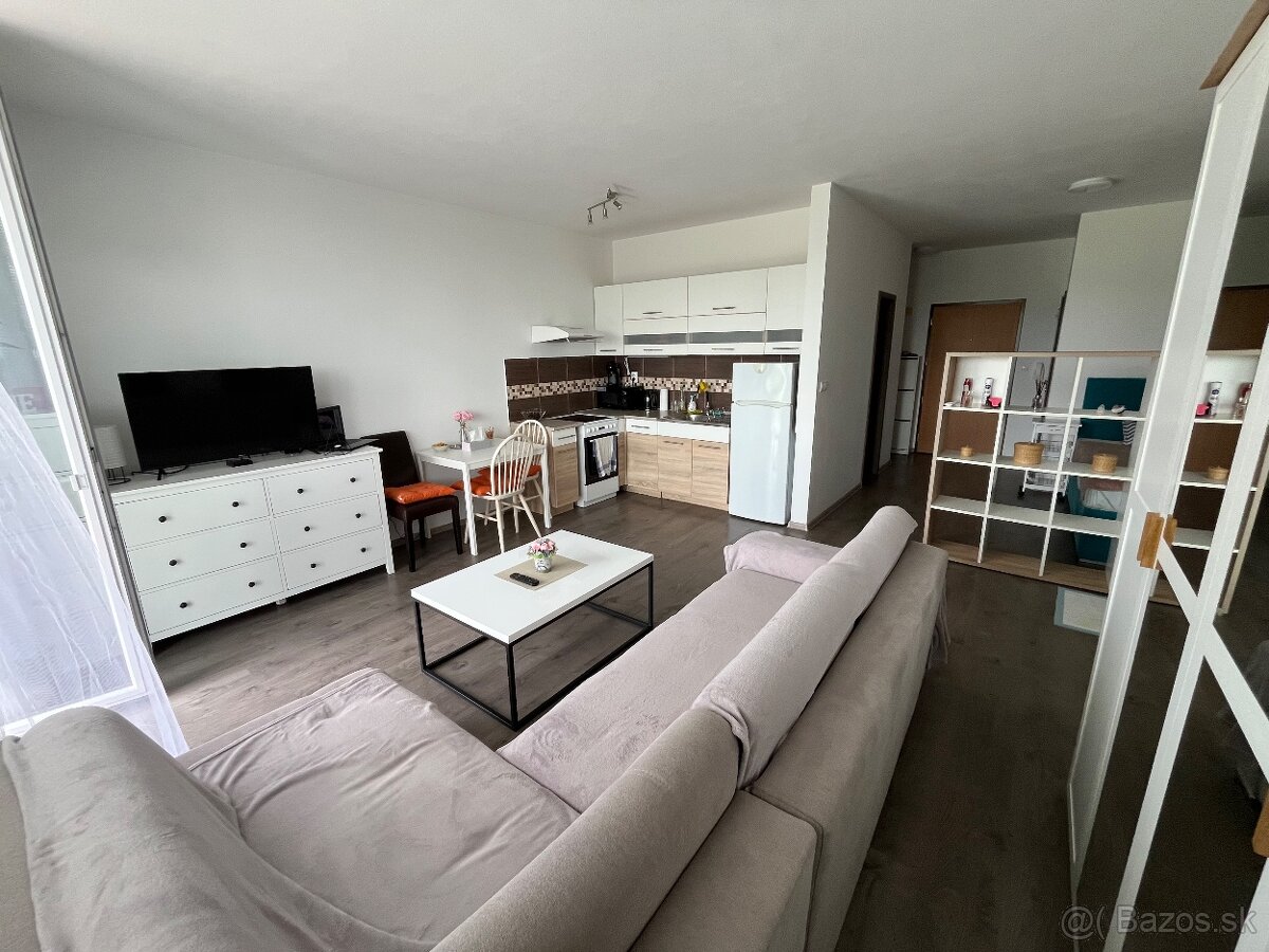 PRENÁJOM 1 izbový byt- SLOVENSKÝ GROB - 5